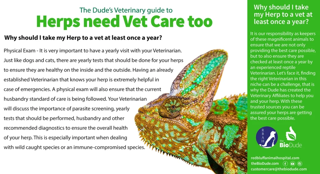 The Dude's Veterinary guide to Herps need Vet Care too